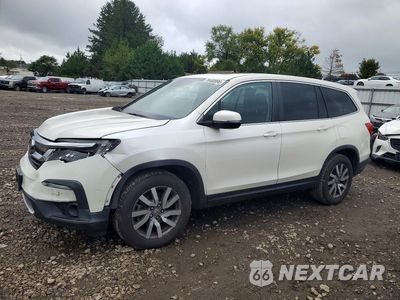 2019 HONDA PILOT EXL 5FNYF6H50KB075046 - główne zdjęcie licytacji z USA - miniatura