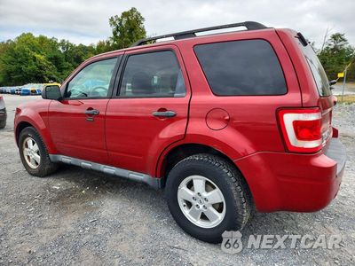 Drugie zdjęcie samochodu z przodu: 2011 FORD ESCAPE XLT VIN:1FMCU0D76BKB57964 - miniatura