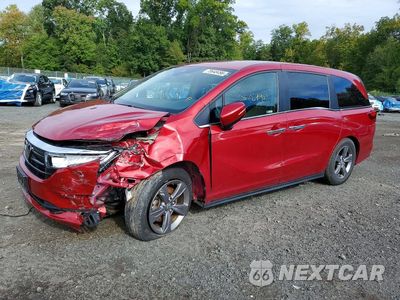2024 HONDA ODYSSEY EX 5FNRL6H59RB018500 - główne zdjęcie licytacji z USA - miniatura