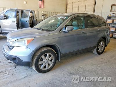 2008 HONDA CR-V EXL 5J6RE48748L012531 - główne zdjęcie licytacji z USA - miniatura