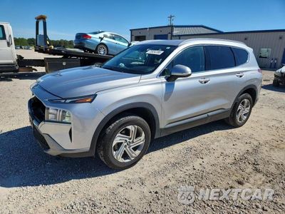 2023 HYUNDAI SANTA FE SEL 5NMS2DAJ3PH538929 - główne zdjęcie licytacji z USA - miniatura