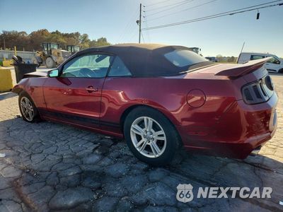 Drugie zdjęcie samochodu z przodu: 2014 FORD MUSTANG V6 COUPE VIN:1ZVBP8EM1E5315198 - miniatura