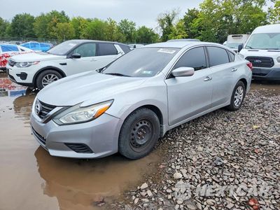 2016 NISSAN ALTIMA 2.5 S 1N4AL3AP1GN317636 - główne zdjęcie licytacji z USA - miniatura