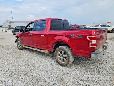 Drugie zdjęcie samochodu z przodu: 2020 FORD F150 SUPERCREW VIN:1FTEW1E58LKE92316 - miniatura