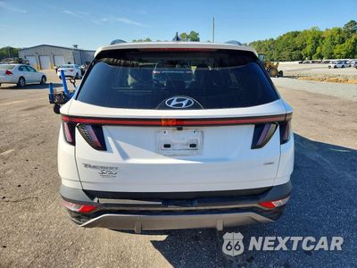 Zdjęcie 6 z 12 samochodu: 2024 HYUNDAI TUCSON LIMITED VIN:5NMJECDE5RH406169 - miniatura