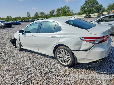 Drugie zdjęcie samochodu z przodu: 2020 TOYOTA CAMRY XLE VIN:4T1F31AK8LU535531 - miniatura
