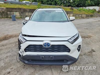 Piąte zdjęcie samochodu w środku: 2024 TOYOTA RAV4 XLE PREMIUM VIN:2T3B6RFV0RW068919 - miniatura