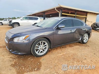 2010 NISSAN MAXIMA 3.5 S 1N4AA5AP7AC840681 - główne zdjęcie licytacji z USA - miniatura