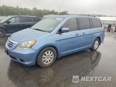 2009 HONDA ODYSSEY EXL 5FNRL38629B034125 - główne zdjęcie licytacji z USA - miniatura