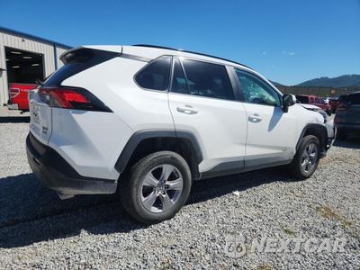 Trzecie zdjęcie samochodu z tyłu: 2025 TOYOTA RAV4 XLE VIN:2T3P1RFVXSW500507 - miniatura