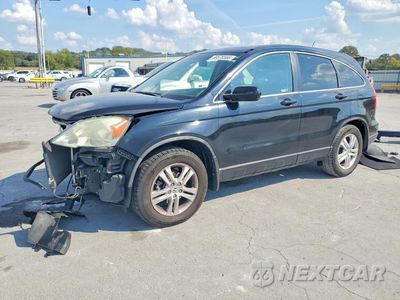 2010 HONDA CR-V EXL 5J6RE3H73AL018420 - główne zdjęcie licytacji z USA - miniatura