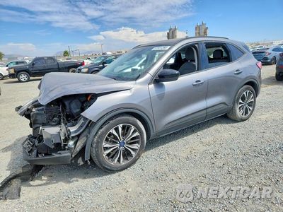 2021 FORD ESCAPE SE 1FMCU0BZ5MUA34636 - główne zdjęcie licytacji z USA - miniatura