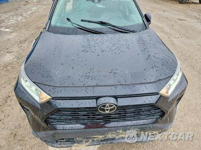 Zdjęcie 11 z 12 samochodu: 2019 TOYOTA RAV4 XLE PREMIUM VIN:2T3A1RFV4KW041660 - miniatura