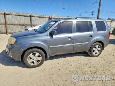2011 HONDA PILOT EXL 5FNYF3H51BB016988 - główne zdjęcie licytacji z USA - miniatura