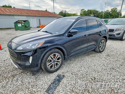2021 FORD ESCAPE SEL 1FMCU9CZ0MUA68082 - główne zdjęcie licytacji z USA - miniatura