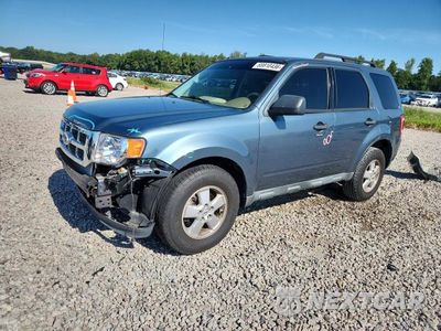 2010 FORD ESCAPE XLT 1FMCU0DG6AKA44501 - główne zdjęcie licytacji z USA - miniatura