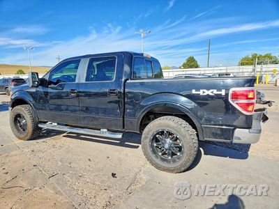 Drugie zdjęcie samochodu z przodu: 2009 FORD F150 SUPERCREW VIN:1FTPW14V09FB25762 - miniatura