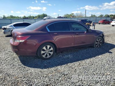 Trzecie zdjęcie samochodu z tyłu: 2010 HONDA ACCORD EXL VIN:1HGCP2F84AA010576 - miniatura