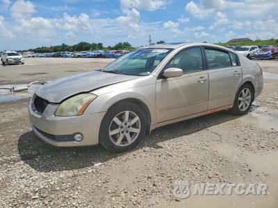 2006 NISSAN MAXIMA 3.5 SE 1N4BA41E86C845361 - główne zdjęcie licytacji z USA - miniatura
