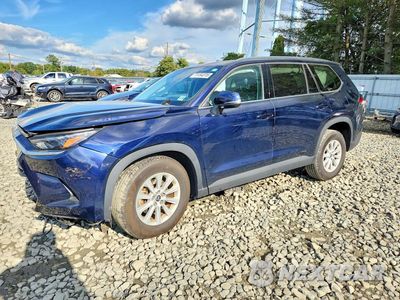 2025 TOYOTA GRAND HIGHLANDER HYBRID XLE 5TDACAB50SS049919 - główne zdjęcie licytacji z USA - miniatura