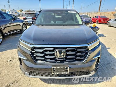 Piąte zdjęcie samochodu w środku: 2025 HONDA PILOT EXL VIN:5FNYG2H41SB046586 - miniatura