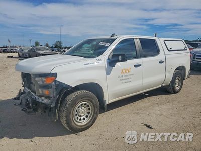 2024 CHEVROLET SILVERADO K1500 1GCPDAEK0RZ164439 - główne zdjęcie licytacji z USA - miniatura