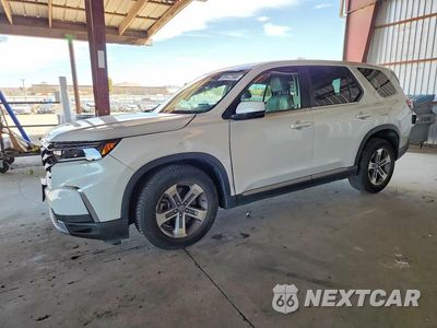 2023 HONDA PILOT EXL 5FNYG1H54PB039609 - główne zdjęcie licytacji z USA - miniatura