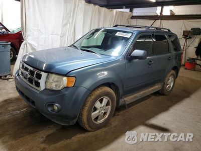 2011 FORD ESCAPE XLT 1FMCU9DGXBKC35991 - główne zdjęcie licytacji z USA - miniatura