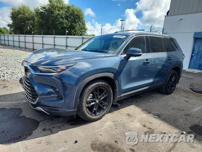 2025 TOYOTA GRAND HIGHLANDER PLATINUM 5TDAAAB53SS071077 - główne zdjęcie licytacji z USA - miniatura