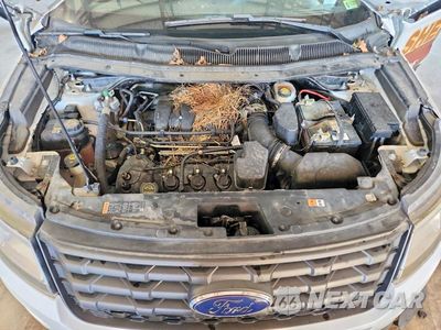 Zdjęcie 12 z 13 samochodu: 2019 FORD EXPLORER POLICE INTERCEPTOR VIN:1FM5K8AR0KGA29208 - miniatura