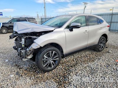 2024 TOYOTA VENZA LE JTEAAAAH3RJ191959 - główne zdjęcie licytacji z USA - miniatura