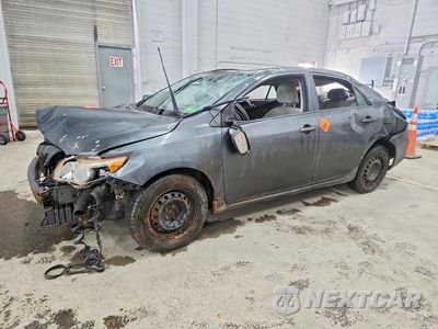 2010 TOYOTA COROLLA LE 1NXBU4EE1AZ383137 - główne zdjęcie licytacji z USA - miniatura