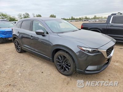 Czwarte zdjęcie samochodu z boku: 2023 MAZDA CX-9 TOURING PLUS VIN:JM3TCBAY5P0654658 - miniatura