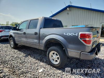 Drugie zdjęcie samochodu z przodu: 2014 FORD F150 SUPERCREW VIN:1FTFW1EF1EKF56986 - miniatura
