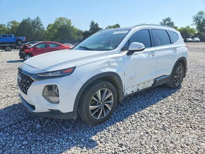 2020 HYUNDAI SANTA FE LIMITED 5NMS53AD8LH290554 - główne zdjęcie licytacji z USA - miniatura