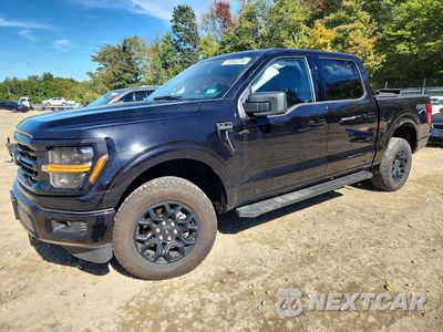 2025 FORD F150 XLT 1FTFW3L58SKF28541 - główne zdjęcie licytacji z USA - miniatura