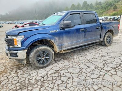 2020 FORD F150 SUPERCREW 1FTEW1EP3LKD65149 - główne zdjęcie licytacji z USA - miniatura