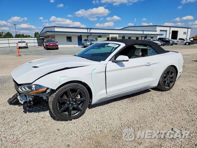 2019 FORD MUSTANG 1FATP8UH4K5204674 - główne zdjęcie licytacji z USA - miniatura