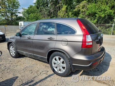 Drugie zdjęcie samochodu z przodu: 2009 HONDA CR-V EXL VIN:5J6RE48749L050973 - miniatura