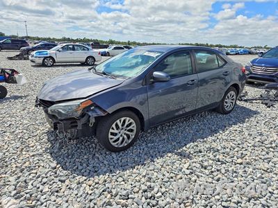 2017 TOYOTA COROLLA LE 2T1BURHE4HC954558 - główne zdjęcie licytacji z USA - miniatura