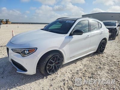 2020 ALFA ROMEO STELVIO TI ZASPAKBN1L7C95791 - główne zdjęcie licytacji z USA - miniatura