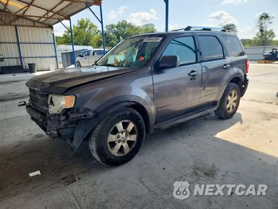 2011 FORD ESCAPE LIMITED 1FMCU0EG9BKC48001 - główne zdjęcie licytacji z USA - miniatura