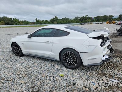 Drugie zdjęcie samochodu z przodu: 2019 FORD MUSTANG GT VIN:1FA6P8CF5K5125091 - miniatura