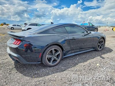 Trzecie zdjęcie samochodu z tyłu: 2024 FORD MUSTANG VIN:1FA6P8TH1R5123091 - miniatura