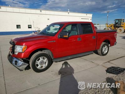 2011 FORD F150 SUPERCREW 1FTEW1CM9BKD27948 - główne zdjęcie licytacji z USA - miniatura