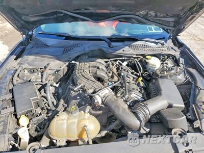 Zdjęcie 11 z 13 samochodu: 2016 FORD MUSTANG VIN:1FA6P8AM0G5304714 - miniatura