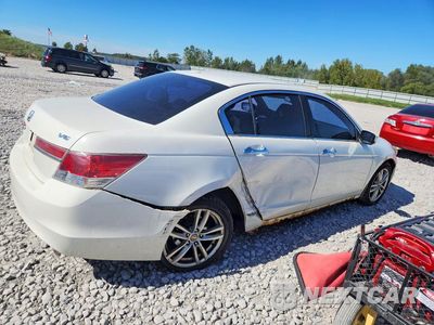 Trzecie zdjęcie samochodu z tyłu: 2011 HONDA ACCORD EXL VIN:1HGCP3F86BA800520 - miniatura