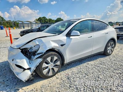 2023 TESLA MODEL Y 7SAYGDEE7PF686367 - główne zdjęcie licytacji z USA - miniatura