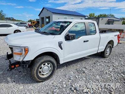 2022 FORD F150 SUPER CAB 1FTEX1EB6NKE57439 - główne zdjęcie licytacji z USA - miniatura