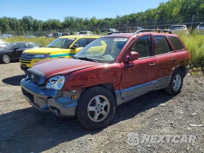 2004 HYUNDAI SANTA FE GLS KM8SC73D04U742383 - główne zdjęcie licytacji z USA - miniatura